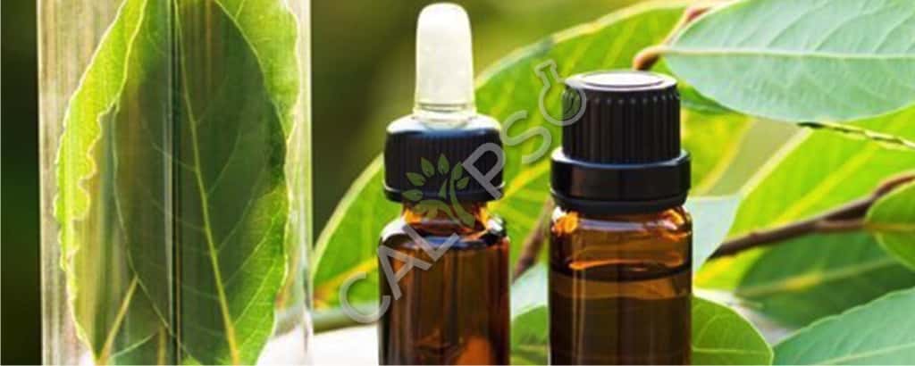 Bay Leaf Natural Oil